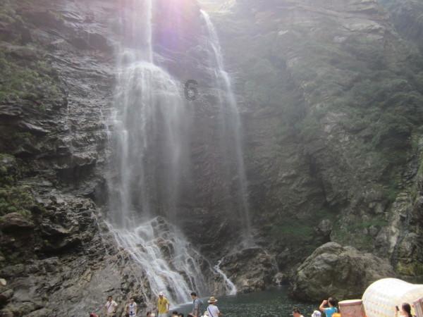 虫虫助手下载